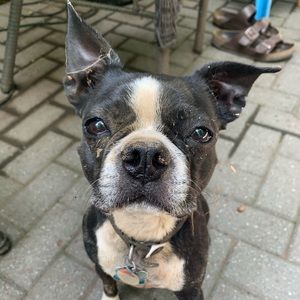 Meet your Posher, Catherine